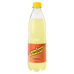 0,5L Schweppes Citrus Mix DRS